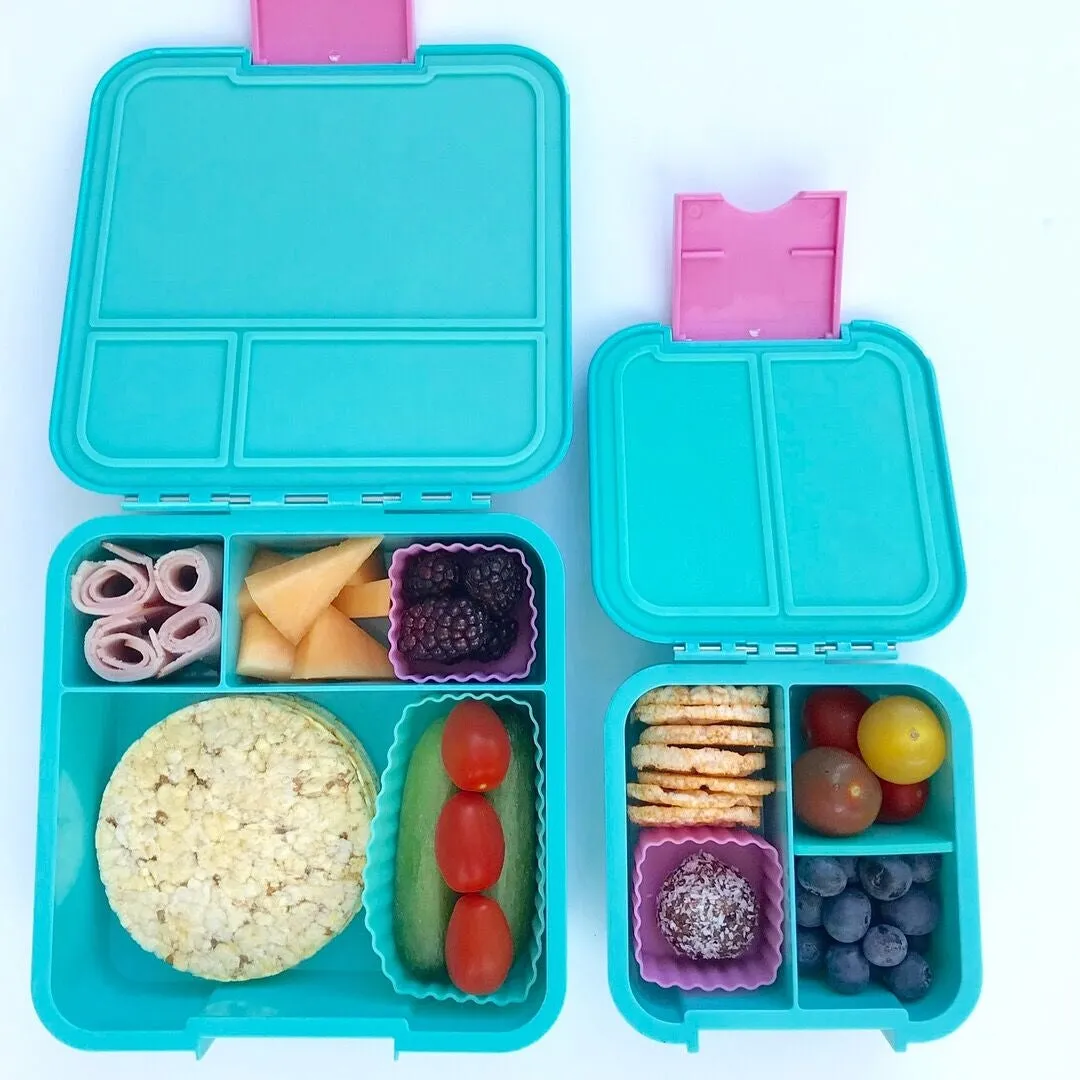 Bento Cups Rectangle