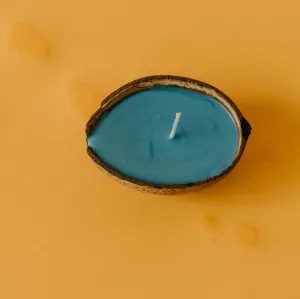 Coconut Shell Candle - Spring Showers