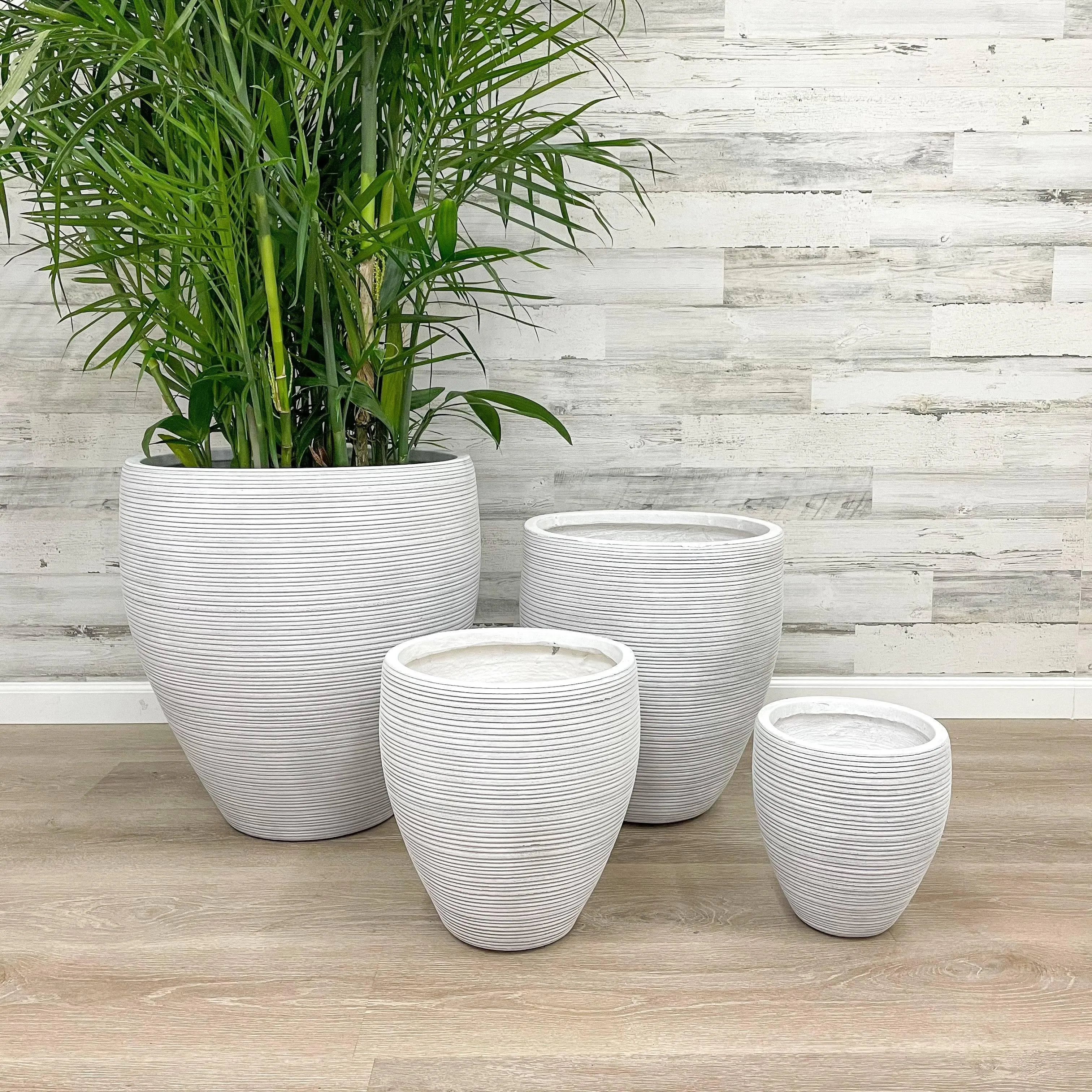 Fiberclay Taper Striped Planter - White - 22-inch