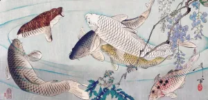 Koi Fish (Oriental Carps) Swimming Beneath Wisteria - Yoshitoshi Tsukioka - Vintage c1889 Japanese Woodblock Print - Life Size Posters