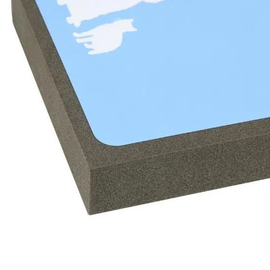 Pet Fur Eraser