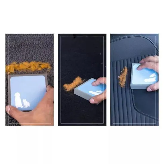 Pet Fur Eraser