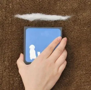 Pet Fur Eraser
