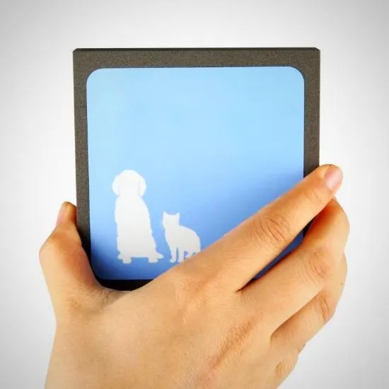Pet Fur Eraser