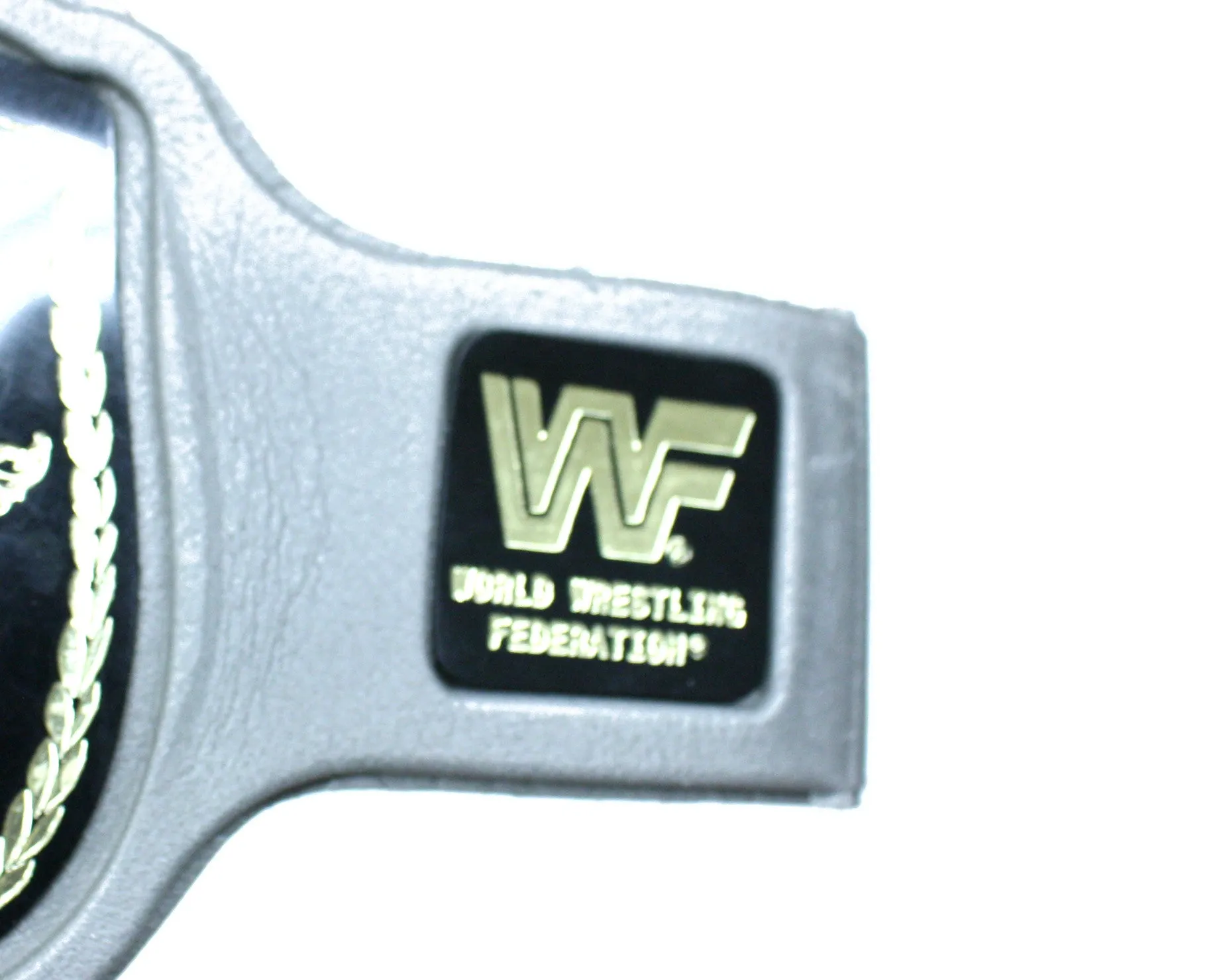 WWF FOAM TAG TEAM TITLE